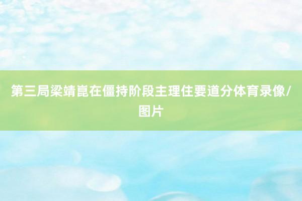 第三局梁靖崑在僵持阶段主理住要道分体育录像/图片