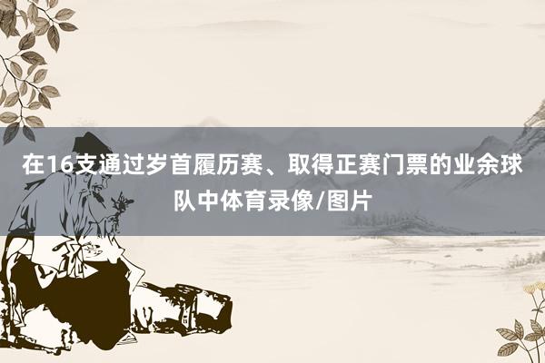 在16支通过岁首履历赛、取得正赛门票的业余球队中体育录像/图片