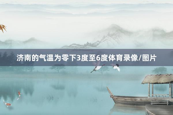 济南的气温为零下3度至6度体育录像/图片