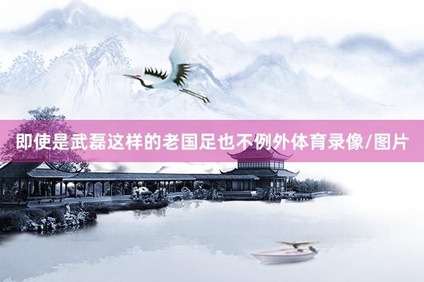 即使是武磊这样的老国足也不例外体育录像/图片