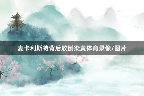 麦卡利斯特背后放倒染黄体育录像/图片