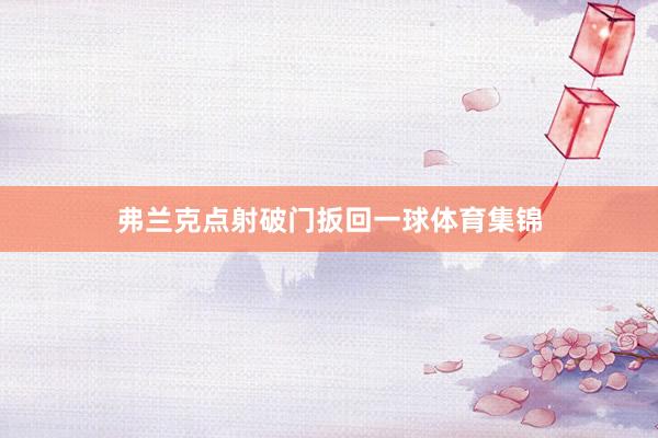 弗兰克点射破门扳回一球体育集锦