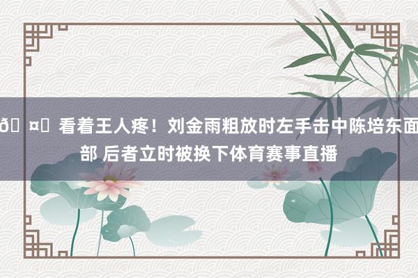 🤕看着王人疼！刘金雨粗放时左手击中陈培东面部 后者立时被换下体育赛事直播