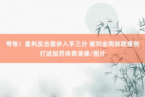 夸张！盖利反击撤步入手三分 被刘金雨蛙跳撞倒打进加罚体育录像/图片