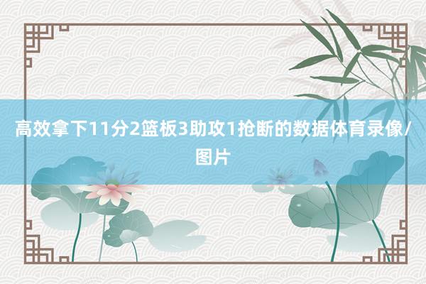 高效拿下11分2篮板3助攻1抢断的数据体育录像/图片