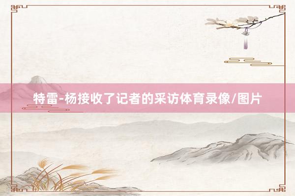 特雷-杨接收了记者的采访体育录像/图片