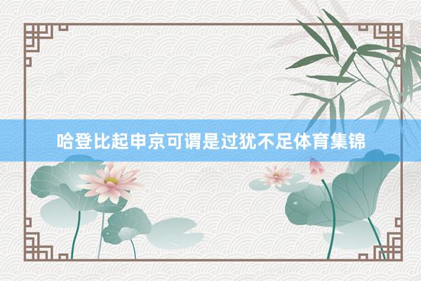 哈登比起申京可谓是过犹不足体育集锦
