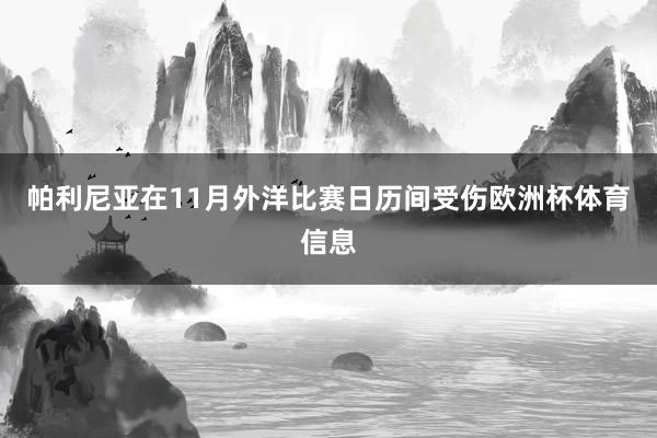 帕利尼亚在11月外洋比赛日历间受伤欧洲杯体育信息