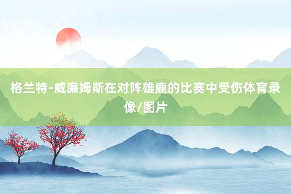 格兰特-威廉姆斯在对阵雄鹿的比赛中受伤体育录像/图片