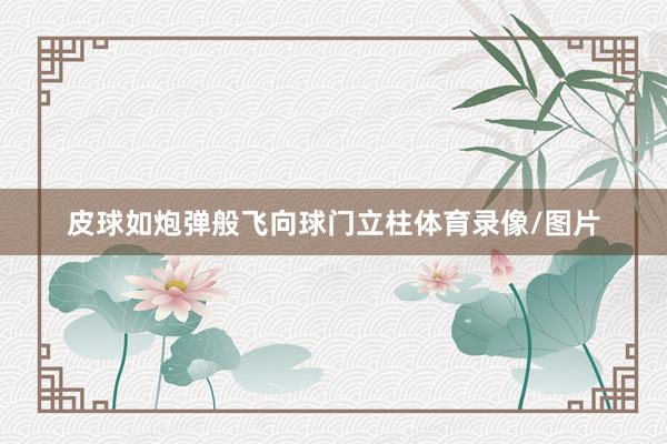 皮球如炮弹般飞向球门立柱体育录像/图片