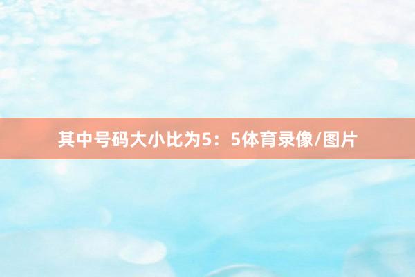 其中号码大小比为5：5体育录像/图片
