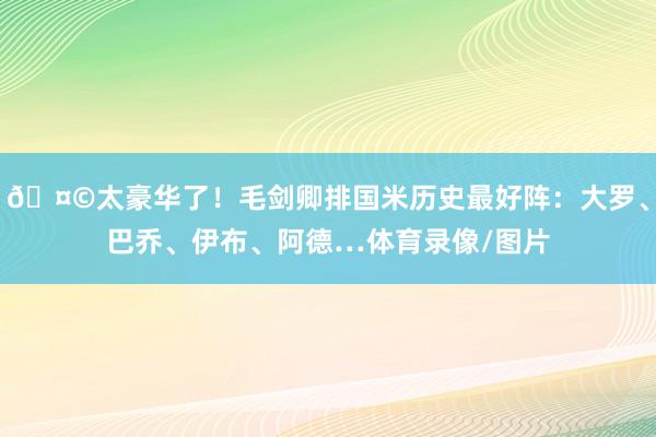 🤩太豪华了！毛剑卿排国米历史最好阵：大罗、巴乔、伊布、阿德…体育录像/图片