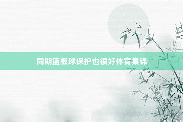 同期篮板球保护也很好体育集锦