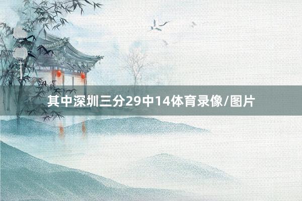 其中深圳三分29中14体育录像/图片