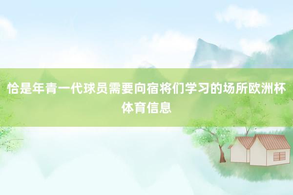 恰是年青一代球员需要向宿将们学习的场所欧洲杯体育信息