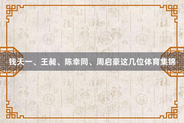 钱天一、王昶、陈幸同、周启豪这几位体育集锦