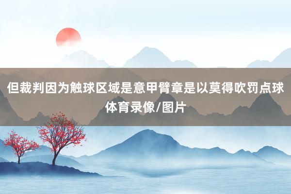但裁判因为触球区域是意甲臂章是以莫得吹罚点球体育录像/图片