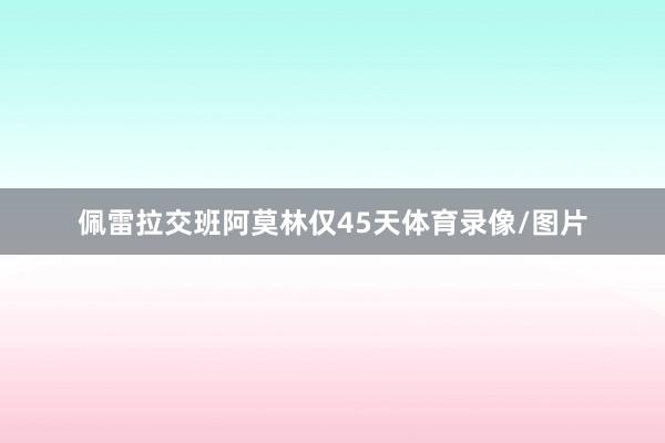 佩雷拉交班阿莫林仅45天体育录像/图片