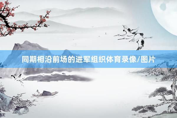 同期相沿前场的进军组织体育录像/图片