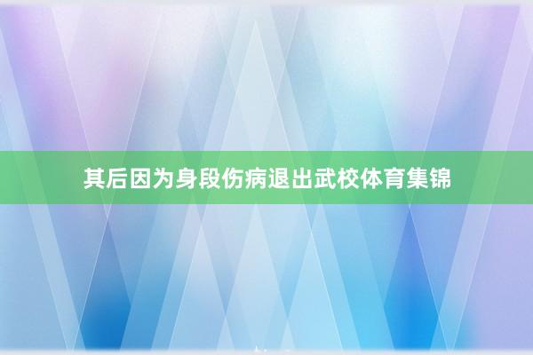 其后因为身段伤病退出武校体育集锦