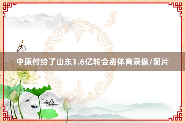 中原付给了山东1.6亿转会费体育录像/图片