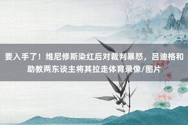 要入手了！维尼修斯染红后对裁判暴怒，吕迪格和助教两东谈主将其拉走体育录像/图片