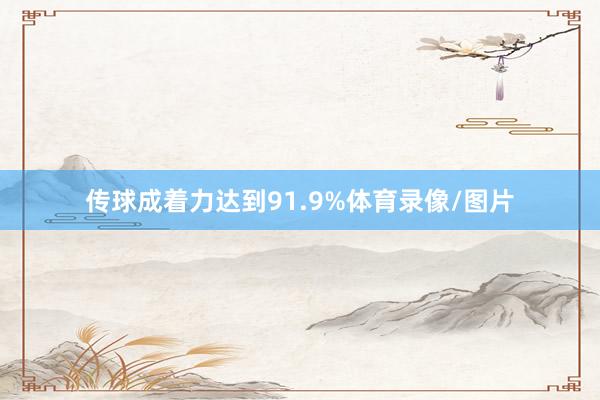 传球成着力达到91.9%体育录像/图片