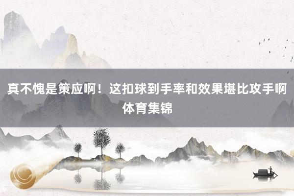 真不愧是策应啊！这扣球到手率和效果堪比攻手啊体育集锦