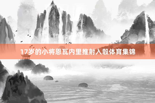 17岁的小将恩瓦内里推射入彀体育集锦