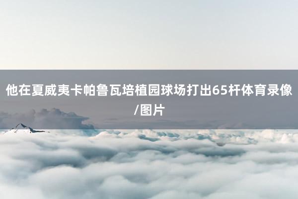他在夏威夷卡帕鲁瓦培植园球场打出65杆体育录像/图片