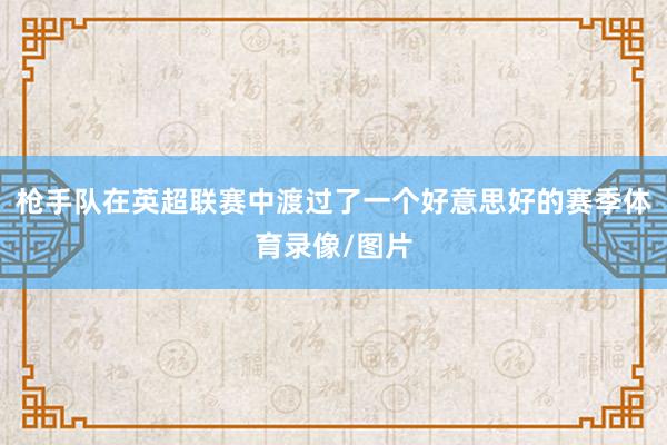 枪手队在英超联赛中渡过了一个好意思好的赛季体育录像/图片