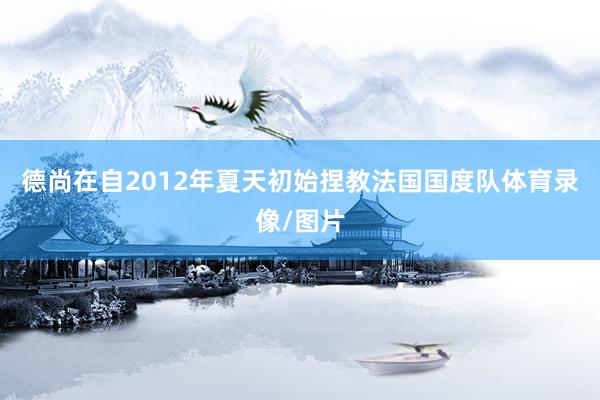 德尚在自2012年夏天初始捏教法国国度队体育录像/图片