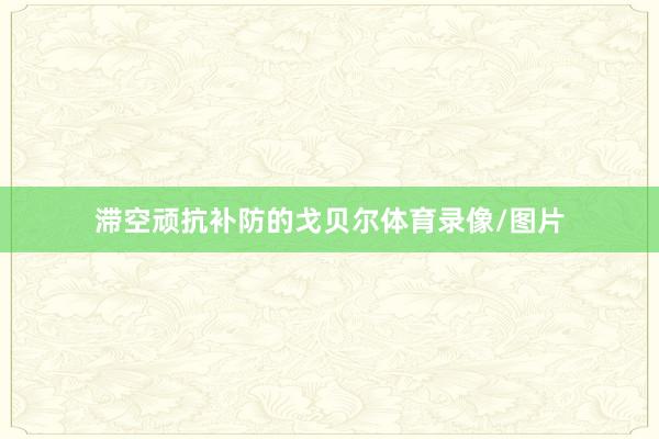 滞空顽抗补防的戈贝尔体育录像/图片