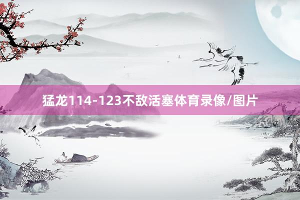 猛龙114-123不敌活塞体育录像/图片