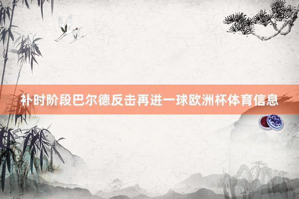 补时阶段巴尔德反击再进一球欧洲杯体育信息