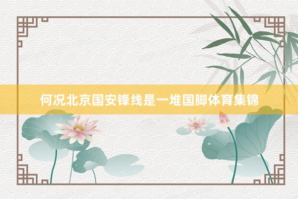 何况北京国安锋线是一堆国脚体育集锦