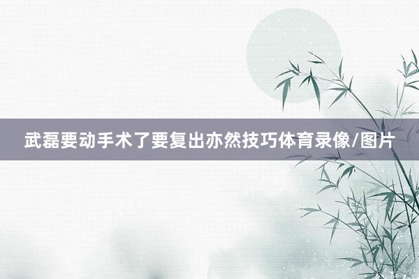 武磊要动手术了要复出亦然技巧体育录像/图片