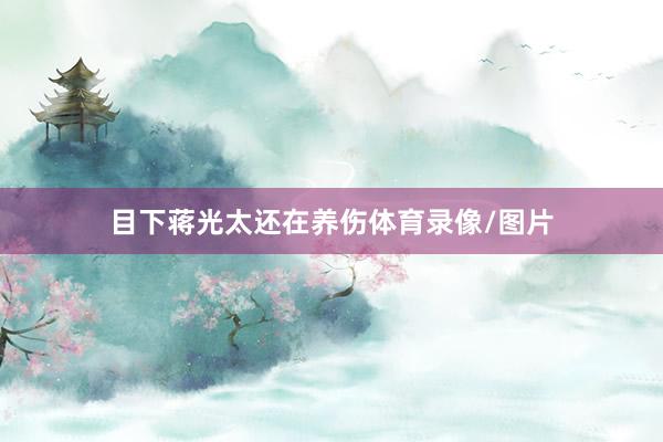 目下蒋光太还在养伤体育录像/图片