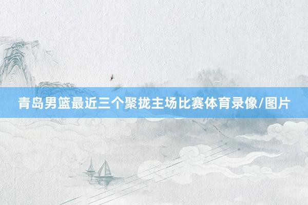 青岛男篮最近三个聚拢主场比赛体育录像/图片