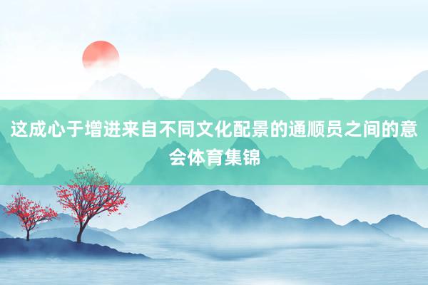 这成心于增进来自不同文化配景的通顺员之间的意会体育集锦