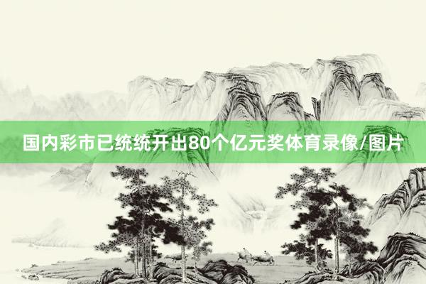 国内彩市已统统开出80个亿元奖体育录像/图片