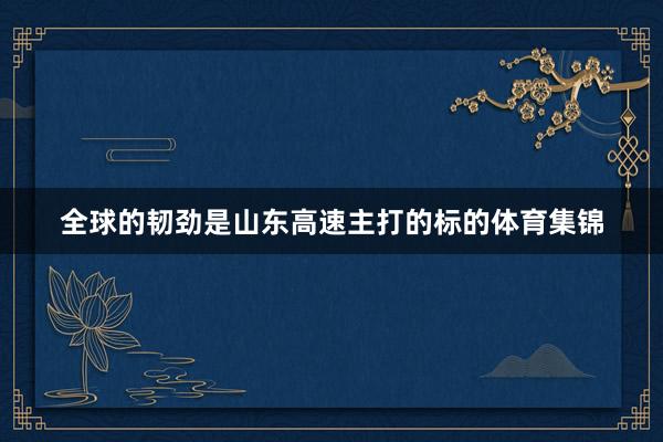 全球的韧劲是山东高速主打的标的体育集锦