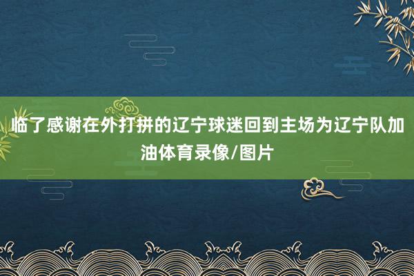 临了感谢在外打拼的辽宁球迷回到主场为辽宁队加油体育录像/图片