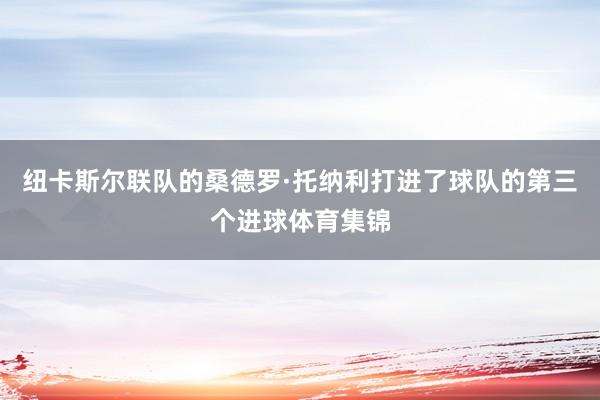 纽卡斯尔联队的桑德罗·托纳利打进了球队的第三个进球体育集锦