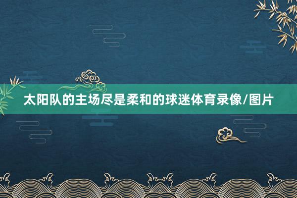 太阳队的主场尽是柔和的球迷体育录像/图片
