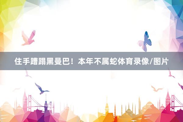 住手蹧蹋黑曼巴！本年不属蛇体育录像/图片
