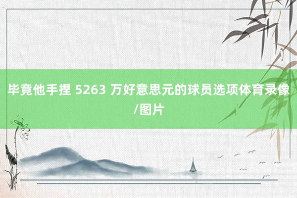 毕竟他手捏 5263 万好意思元的球员选项体育录像/图片