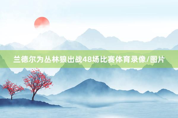 兰德尔为丛林狼出战48场比赛体育录像/图片