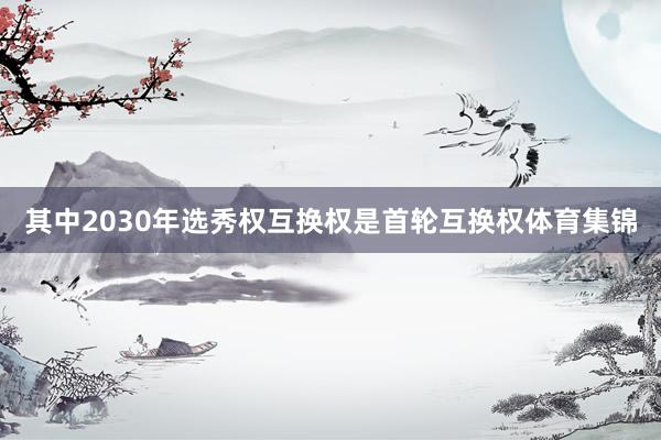 其中2030年选秀权互换权是首轮互换权体育集锦