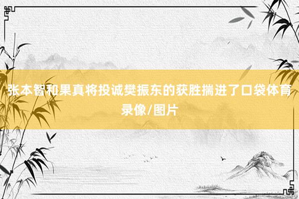 张本智和果真将投诚樊振东的获胜揣进了口袋体育录像/图片